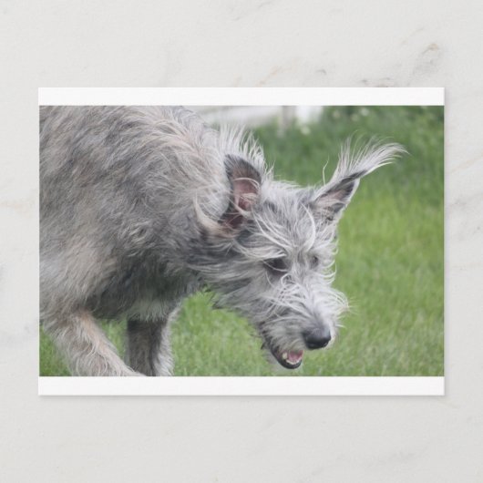 Ohren in Bewegung Postkarte (Vorderseite)