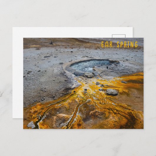 Ohrfrühlingspark Yellowstone Nationalpark Postkarte (Vorne/Hinten)