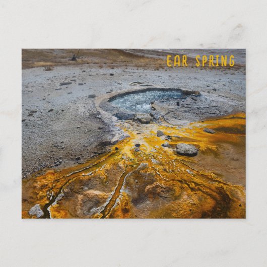 Ohrfrühlingspark Yellowstone Nationalpark Postkarte (Vorderseite)