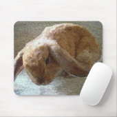 Ohriges Kaninchen Holland-Schmierölniederdrucks Mousepad (Mit Mouse)