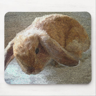 Ohriges Kaninchen Holland-Schmierölniederdrucks Mousepad