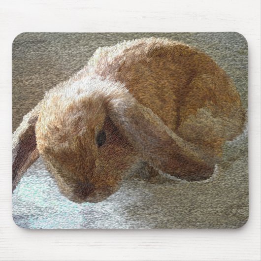 Ohriges Kaninchen Holland-Schmierölniederdrucks Mousepad (Vorne)