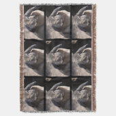 Ohriges Kaninchen Schmierölniederdrucks Decke (Vorderseite Vertikal)