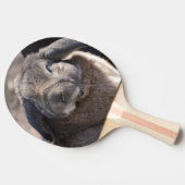 Ohriges Kaninchen Schmierölniederdrucks Tischtennis Schläger (Seitenansicht)