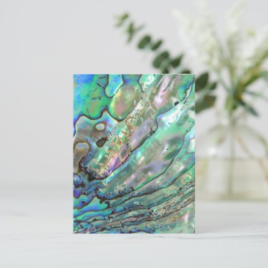 Ohrschnecke Postkarte (Stehend Vorderseite)