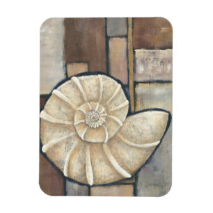 Ohrschnecken-Muschel Magnet
