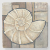 Ohrschnecken-Muschel Steinuntersetzer (Vorderseite)