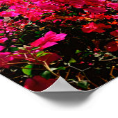 Oia Santorini, Griechenland, Fotografie Poster (Ecke)