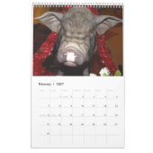 Oinking Morgen-Minischweine Kalender (Feb 2027)