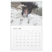 Oinking Morgen-Minischweine Kalender (Jan 2026)