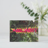 Oiseau du paradis postkarte (Stehend Vorderseite)