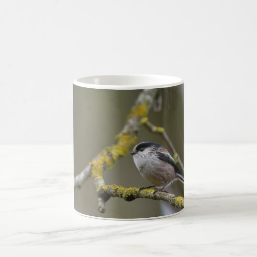 Oiseau Kaffeetasse (Mittel)