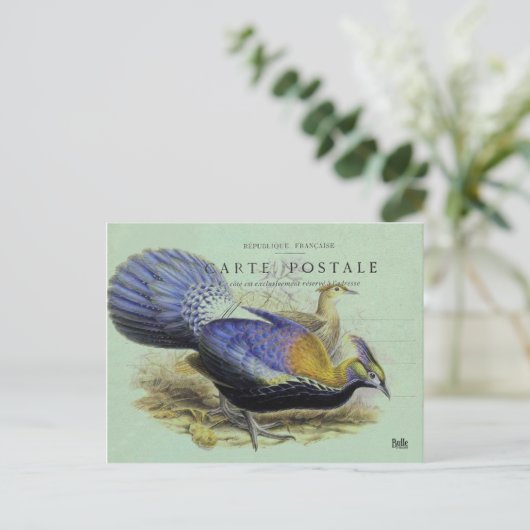 Oiseau violett postkarte (Stehend Vorderseite)