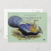 Oiseau violett postkarte (Vorne/Hinten)