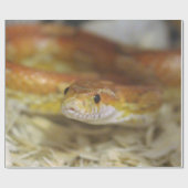 oj das freche Schlangen-Packpapier Geschenkpapier (Flach)