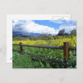 Ojai Meadows Postkarte (Vorne/Hinten)