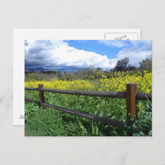 Ojai Meadows Postkarte (Vorne/Hinten)