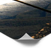 Ojai Palm Poster (Ecke)