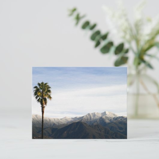 Ojai Palm Postkarte (Stehend Vorderseite)