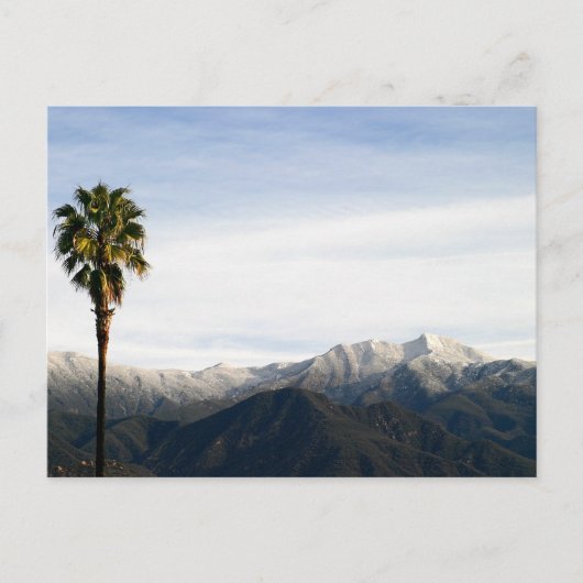 Ojai Palm Postkarte (Vorderseite)