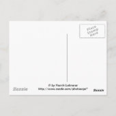 Ojai Small Creek Postkarte (Rückseite)