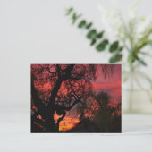 Ojai Sunset Postkarte (Stehend Vorderseite)