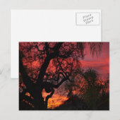 Ojai Sunset Postkarte (Vorne/Hinten)