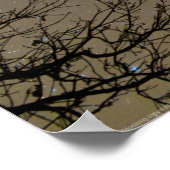 Ojiig Ojibwe-Sternbild Poster (Ecke)