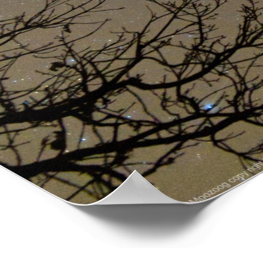 Ojiig Ojibwe-Sternbild Poster (Ecke)