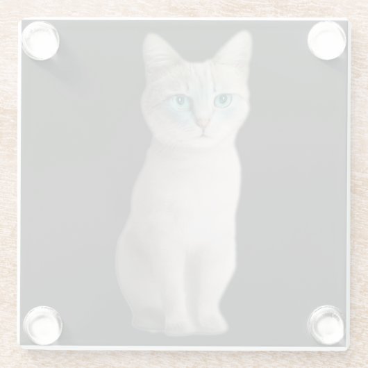 Ojos Azules Cat Glasuntersetzer (Rückseite)