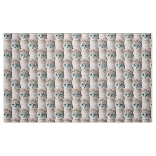 Ojos Azules Cat Pattern Stoff (Fat Quarter (45,7 x 55,9 cm))