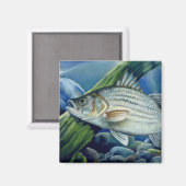 OK 2008 Bowles 1036 hoch Magnet (Vorderseite/Rückseite)