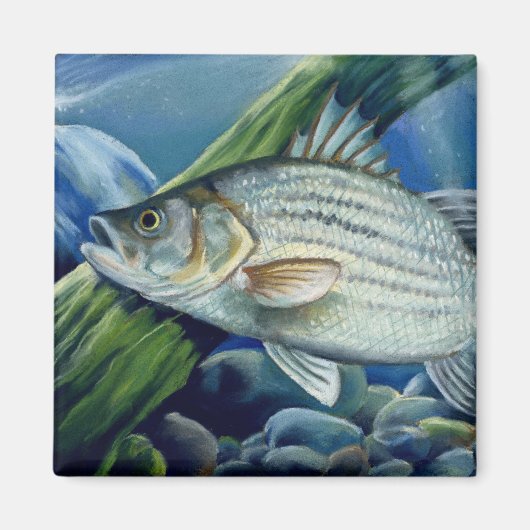 OK 2008 Bowles 1036 hoch Magnet (Vorne)