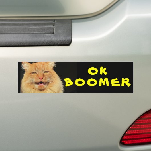 OK BOOMER Funny Cat Meme Autoaufkleber (Auf Auto)