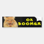 OK BOOMER Funny Cat Meme Autoaufkleber (Vorne)