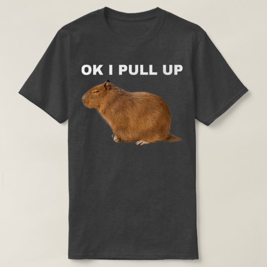 Ok I Pull Up Capybara Funny Meme Cute Animal  T-Shirt (Design vorne)