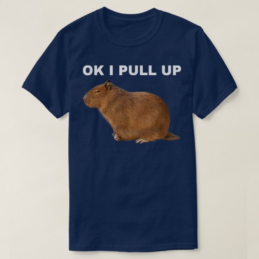 Ok I pull up Capybara Funny Meme Süße Tier T-Shi T-Shirt (Design vorne)
