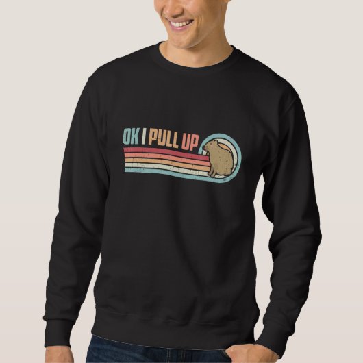 OK I zieht Capybara Vintag Retro hoch Sweatshirt (Vorderseite)