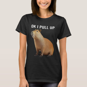 OK I zieht Capybaras Capybara hoch T-Shirt