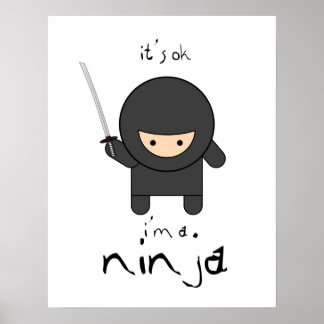 ok, ich bin ein Ninja Poster