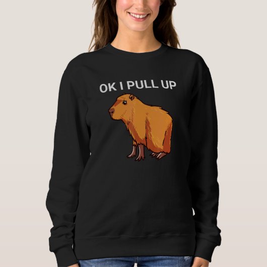 Ok, ich ziehe Capybara Dank Meme hoch Sweatshirt (Vorderseite)