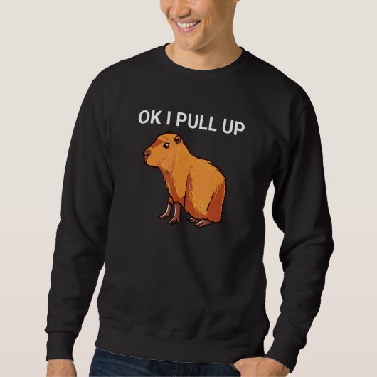 Ok, ich ziehe Capybara Dank Meme hoch Sweatshirt (Vorderseite)