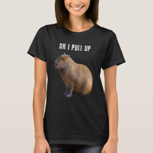 Ok ich ziehe Capybara hoch T-Shirt