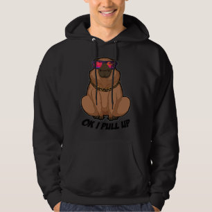Ok ich ziehe hoch Capybara Sonnenbrille Strand Cap Hoodie