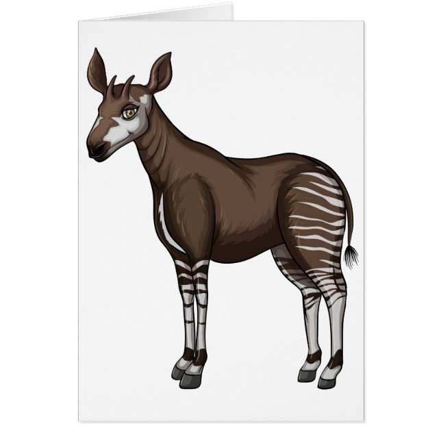 Okapi (Vorne)