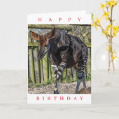 Okapi auf der Zoo-Geburtstagskarte Karte (Gelbe Blume)