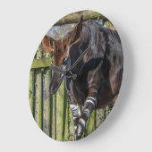 Okapi bei der Zoowall-Uhr Große Wanduhr (Winkel)