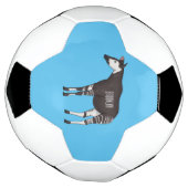 Okapi cartoon Illustration Fußball (Gedreht)