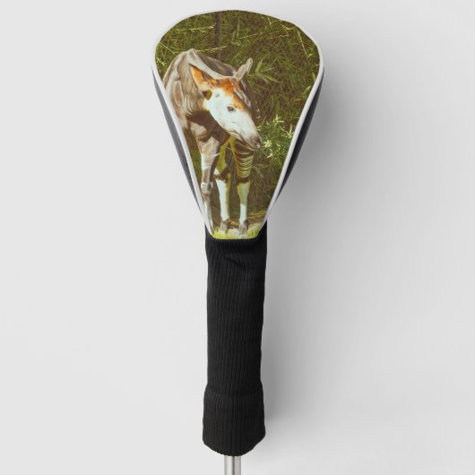 Okapi Golf Headcover (Vorderseite)