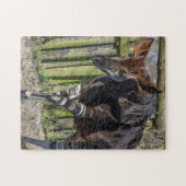 Okapi im Zoo-Puzzle Puzzle (Horizontal)